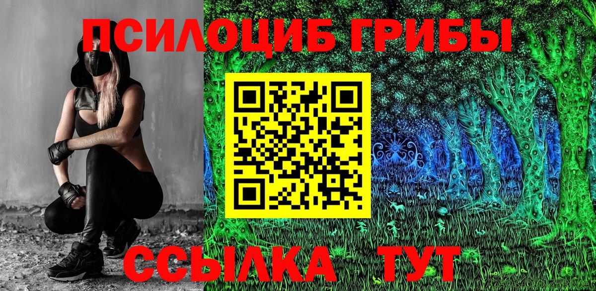 Псилоцибиновые грибы Cubensis Южно-Сахалинск